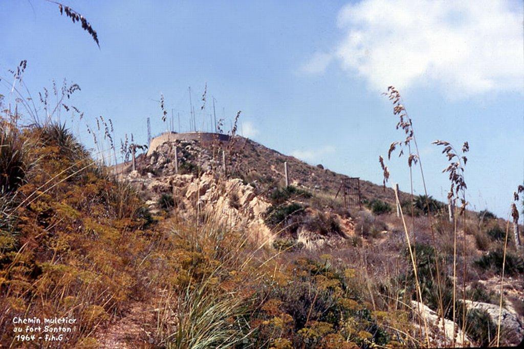 MERS EL KEBIR B LE CHEMIN MULTIER DU SANTON 1964.JPG